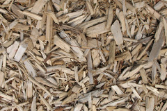 biomass boilers Tregaian